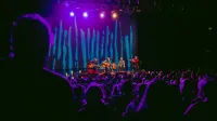 Koncert &scaron;tirih: "Žlahtne kvante" četverice prijateljev