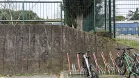 Nacistični simboli in nacionalistični napisi na semedelskih zidovih (FOTO)