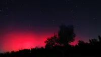 Hrvaška, Bale, 19. januar 2026Aurora Borealis vidna v južni Istri.