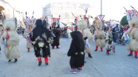 Pustne &scaron;eme v &Scaron;empetru letos zaplesale nekoliko kasneje