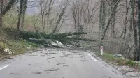 Močan veter povzroča težave tudi v Zgornjem Posočju in na Cerkljanskem