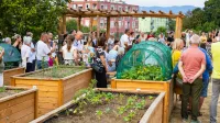 Urbani vrtovi: Poleg svežih cuket &scaron;e druženje ob gredicah (FOTOGALERIJA)