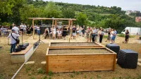 Urbani vrtovi: Poleg svežih cuket &scaron;e druženje ob gredicah (FOTOGALERIJA)