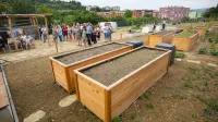 Urbani vrtovi: Poleg svežih cuket &scaron;e druženje ob gredicah (FOTOGALERIJA)