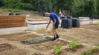 Urbani vrtovi: Poleg svežih cuket &scaron;e druženje ob gredicah (FOTOGALERIJA)