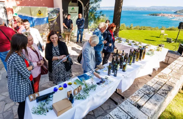 (GALERIJA) Začenja se oljkarska sezona