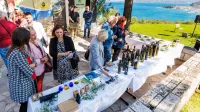 (GALERIJA) Začenja se oljkarska sezona