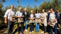 (GALERIJA) Začenja se oljkarska sezona