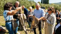 (GALERIJA) Začenja se oljkarska sezona