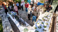 (GALERIJA) Začenja se oljkarska sezona