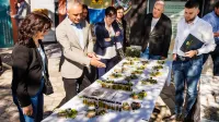 (GALERIJA) Začenja se oljkarska sezona