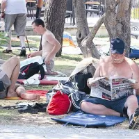Tudi v senci dreves vas sonce lahko opeče 