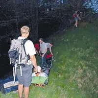 Pristajali so na drevesih
