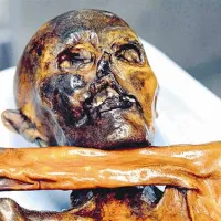 Z DNK analizo vsebnosti želodca mumije Ötzija so ugotovili, da se je v zadnjih dnevih svojega življenja prehranjeval z mesom kozoroga in jelena in nekaterih žitaric.