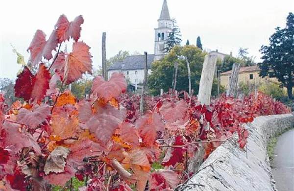 Kljub poslovnemu uspehu leta 2009 tudi  Notranjsko-kraška regija čuti posledice gospodarske krize 