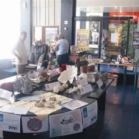 Poglede radovednežev so pritegnili številni od mejne policije zaseženi predmeti, katerih trgovina je strogo prepovedana (slonovi okli, krokodilja koža, naravni afrodiziaki, deli kitovega skeleta ...)