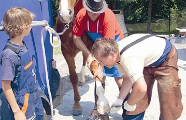 Med starimi furmanskimi obrtmi je največ pozornosti pritegnilo kovaštvo