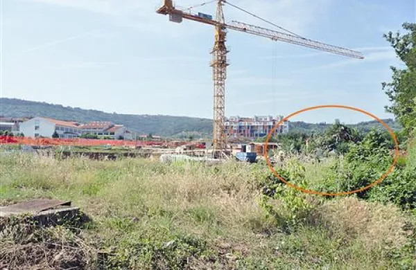 Kup smeti (obkrožen) je  prerasla trava, sicer bi  gradbišče  kampusa  spominjalo na črno odlagališče odpadkov