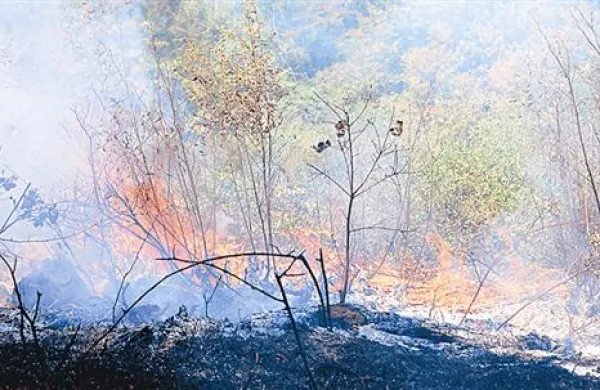 Primorski grozijo požari