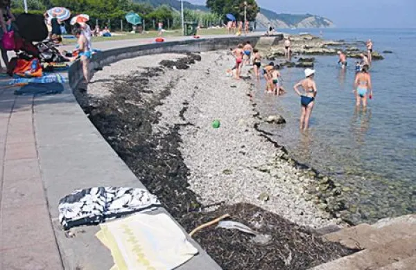 Vroče plaže ovija morska trava, ki pa ni nevarna. Slika je simbolična.