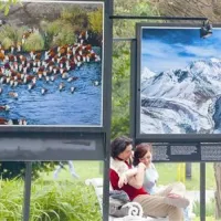 Parki kot oaze narave - tudi na fotografijah