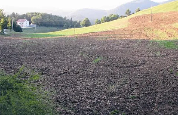 Na pohodu je majski hro&scaron;č - uničenih že 30 hektarjev travnikov