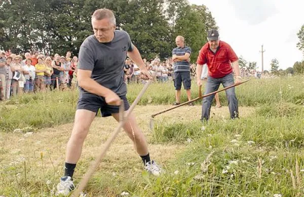 S koso je šlo enim bolje, drugim slabše