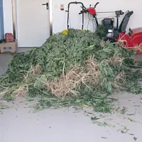 V krajinskem parku so gojili konopljo