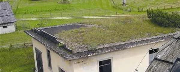 Streha nekdanje italijanske vojašnice v Trenti, na kateri ne raste le trava, ampak tudi že prava drevesa, dokazuje, da je življenjska doba zelene strehe tudi več kot sedem desetletij