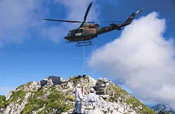 Kadavre ovc so s helikopterjem prepeljali v dolino