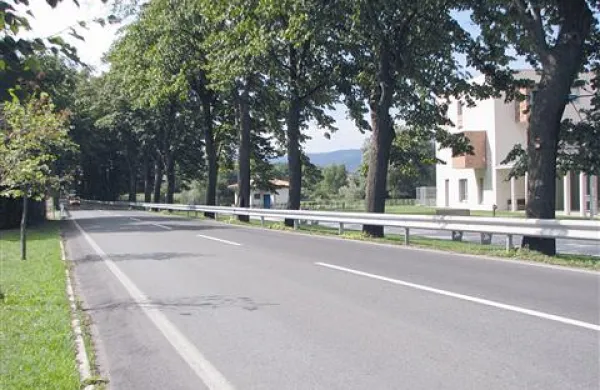 S kilometrom dolgo  ograje ob drevoredu skozi Vipavo se domačini ne bodo sprijaznili