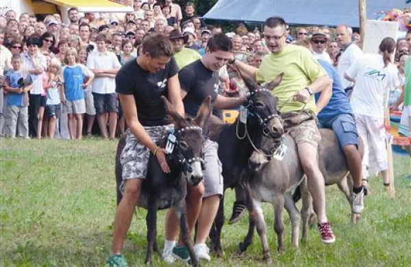 Mu&scaron;i so dirkali in brcali