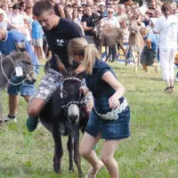 Mušje dirke so v nedeljo privabile še več obiskovalcev kot dosle