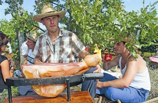 Tudi letos bodo na prazniku v povorki kmečkih vozov prikazali stare običaje