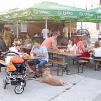 Ribi&scaron;ka &ldquo;trinajstica&rdquo; &scaron;e do konca meseca