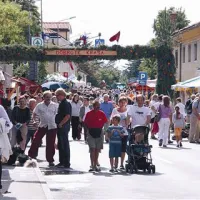 Praznik v znamenju dežja in osmic