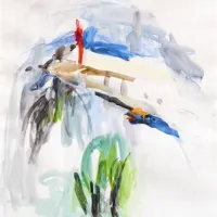 Nuša Lapajne - Metamorfoza pogleda