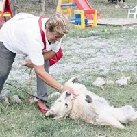 V Miljah so poskrbeli za nemoteno druženje človeka in psa