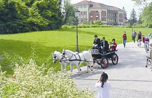 Jutri z lipicanci na vožnjo po ljubljanskem Tivoliju