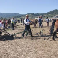 S srcem v vinogradu in na polju