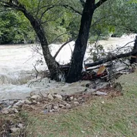 V Miših je tok reke Rižane utrgal dobršen del brežine in s seboj skoraj odnesel tudi drevesa