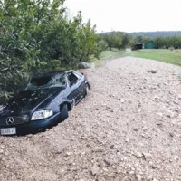 Iz mercedesa sta se Italijana rešila na drevo, od koder so ju pobrali gasilci.