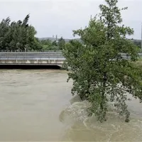 Rižana danes zjutraj pod hitro cesto pri Bivju