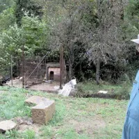 Cunjevim je deroča voda vzela tudi psa