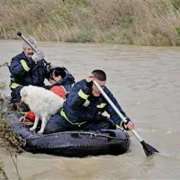Družino Atlija s Srmina so gasilci lahko spravili na suho le s čolnom