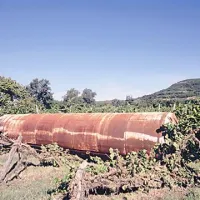 Narasla Dragonja je v vinograd zanesla železno  cisterno