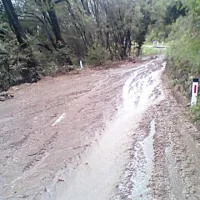 Plaz je uničil daljnovod in ogrozil vodooskrbo