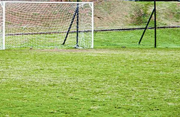 Neznanec je včeraj v letalskem klubu v Ajševici ukradel kovinski gol, ki pa je bil nekoliko manjši od tega na fotografiji