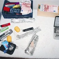 20. obletnica MSNZ-ja je bila obeležena z izidom knjige Prikrita modra mreža, ki govori o nastanku in delovanju MSZN