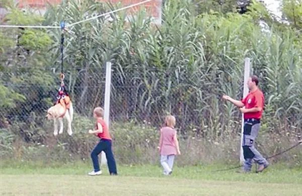 Druga obletnica dru&scaron;tva in pasje &scaron;ole Burja